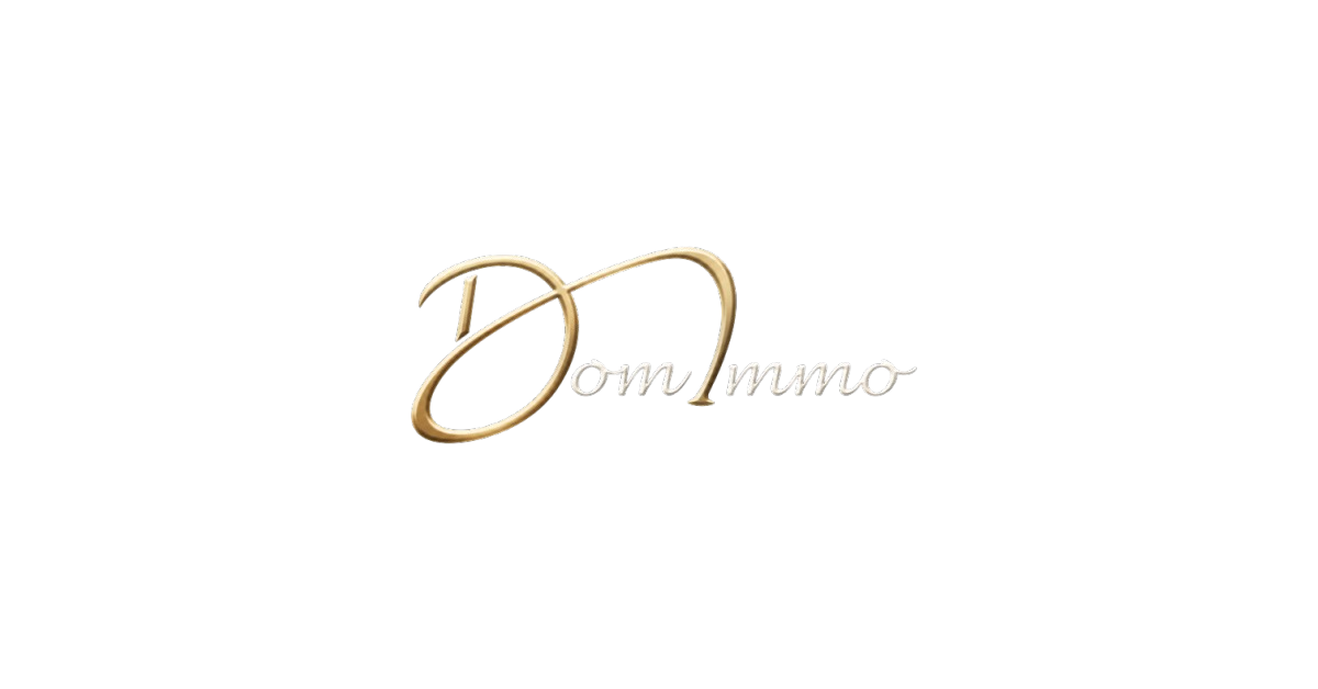 Logo de l'agence Domimmo